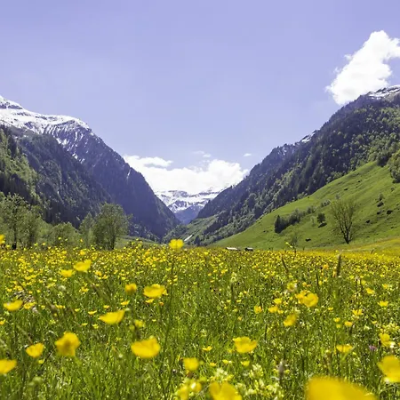 Lägenhet Hochalmbahnen 17w2, Schneerose, Nahe Gondel Rauris