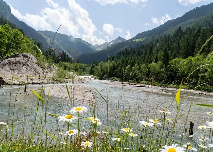 Lägenhet Hochalmbahnen 17w2, Schneerose, Nahe Gondel