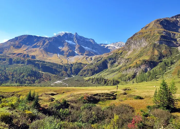 Hochalmbahnen 17w2, Schneerose, Nahe Gondel