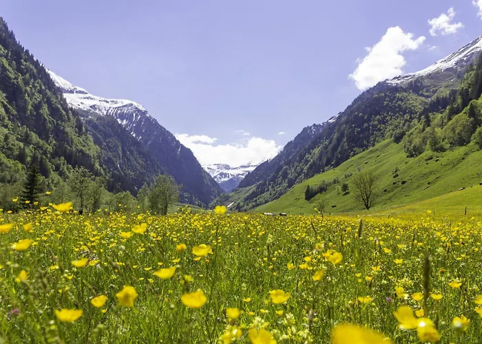 Lägenhet Hochalmbahnen 17w2, Schneerose, Nahe Gondel Rauris