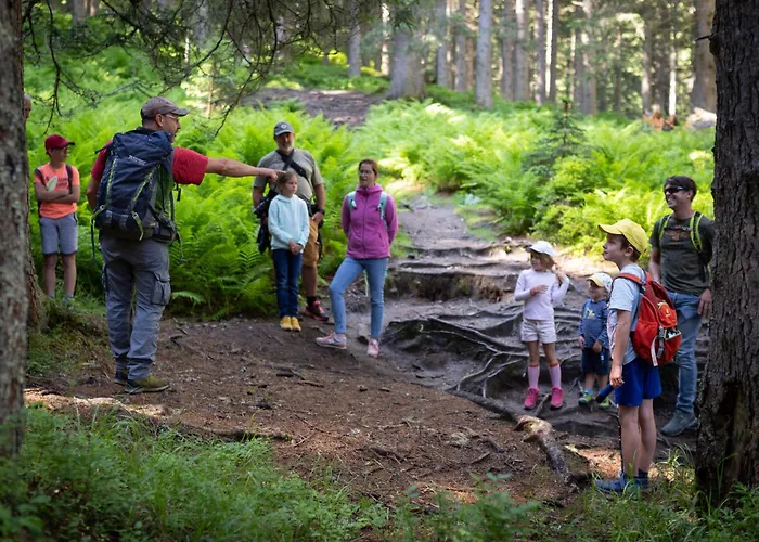 Hochalmbahnen 17w2, Schneerose, Nahe Gondel